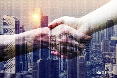 大漲31 ,優信 合謀 淘寶的背后邏輯